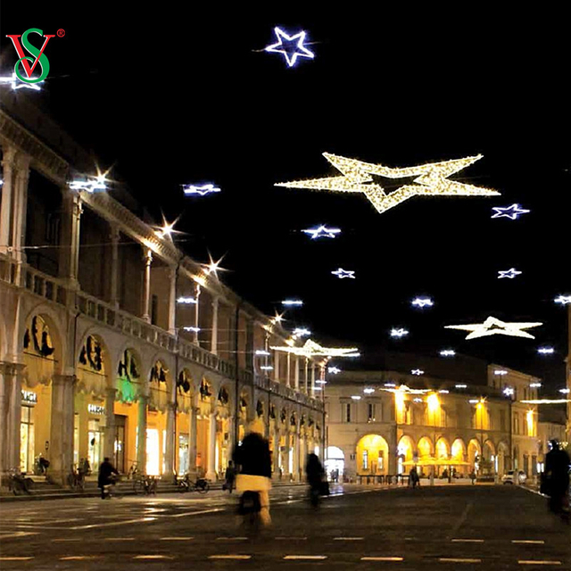 Luci a fiocco di neve a LED 2D animate dal design personalizzato per la decorazione natalizia