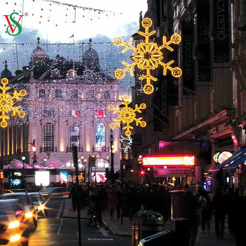 Luci a fiocco di neve a LED 2D animate dal design personalizzato per la decorazione natalizia