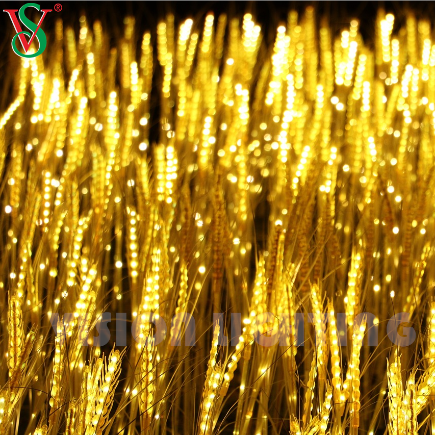 Pianta floreale di grano vitale Luce per la decorazione del paesaggio da giardino da giardino all'aperto