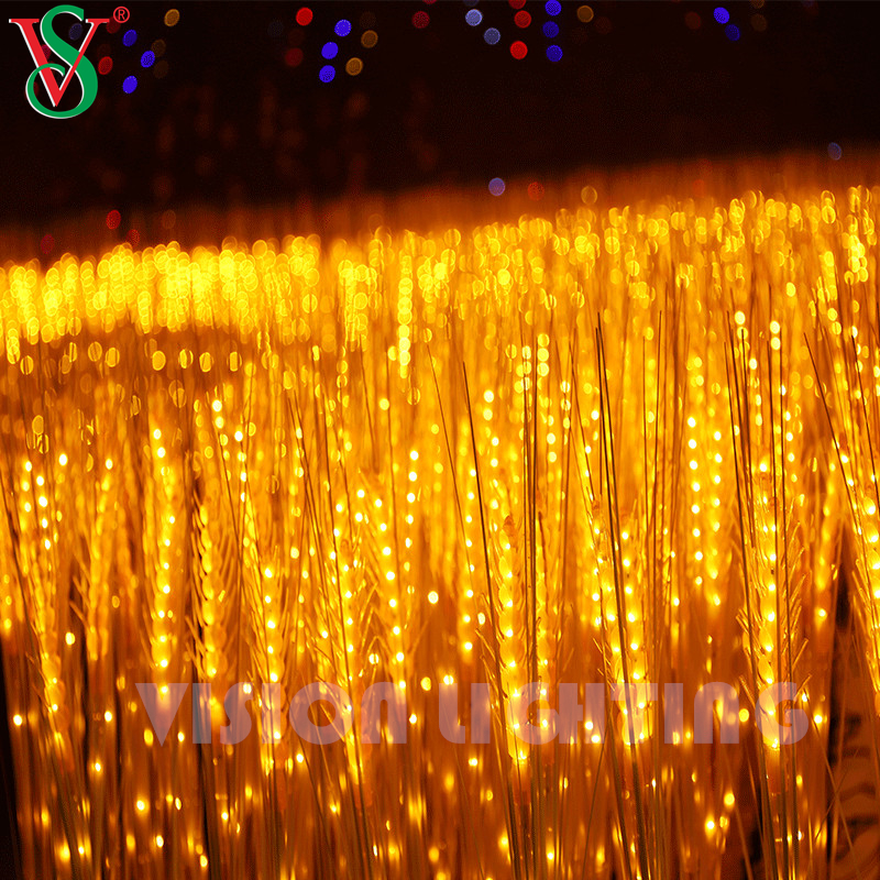 Pianta floreale di grano vitale Luce per la decorazione del paesaggio da giardino da giardino all'aperto