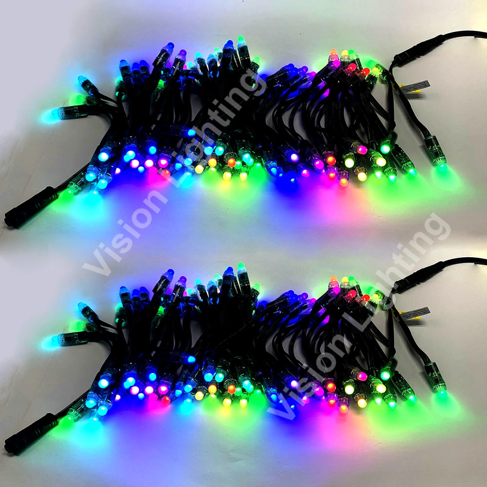 SPI TTL WS2811 Pixel Lights Led Pixel Garland RGB programmabile Swan Light
