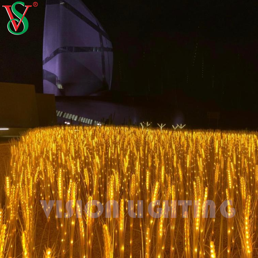 Pianta floreale di grano vitale Luce per la decorazione del paesaggio da giardino da giardino all'aperto